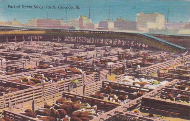 Illinois Chicago Part Of The Union Stock Yards