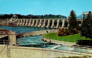 Oregon Fish Ladder and Bonneville Dam