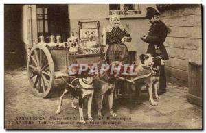 Belgium - Belgien - Antwerpen - Antwerp - Laitiere Flammande with dog team - ...