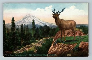 Mt Rainier WA-Washington The Two Sentinels Vintage Postcard