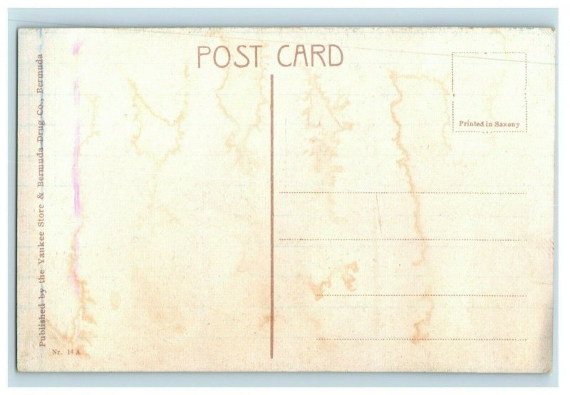 c.1910 Lot of 5 Bermuda Postcards  P164 