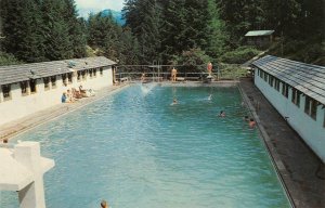 OLYMPIC HOT SPRINGS, WA Swimming Pool ca 1950s Vintage Postcard
