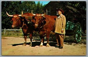 Postcard Old Sturbridge Village MA c1960s Farmer With His Ox Cart and Oxen