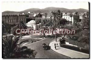 Old Postcard Hyeres les Palmiers Avenue Belgium