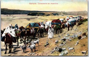 Sahara Caravane En Marche Sahara Algeria Antique Postcard