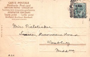 Animals Anthropomorphic Humanized Monkeys at Barber Shop 1903 postcard B920