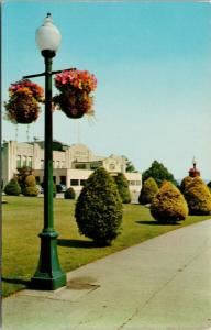 Queens Park New Westminster BC Hanging Flower Baskets UNUSED Postcard D97