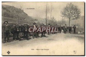 Old Postcard Folklore Auvergne Back fields Cows