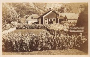 Skagway Alaska~Blanchard Garden~Houses behind Flowers~Vintage RPPC-Postcard