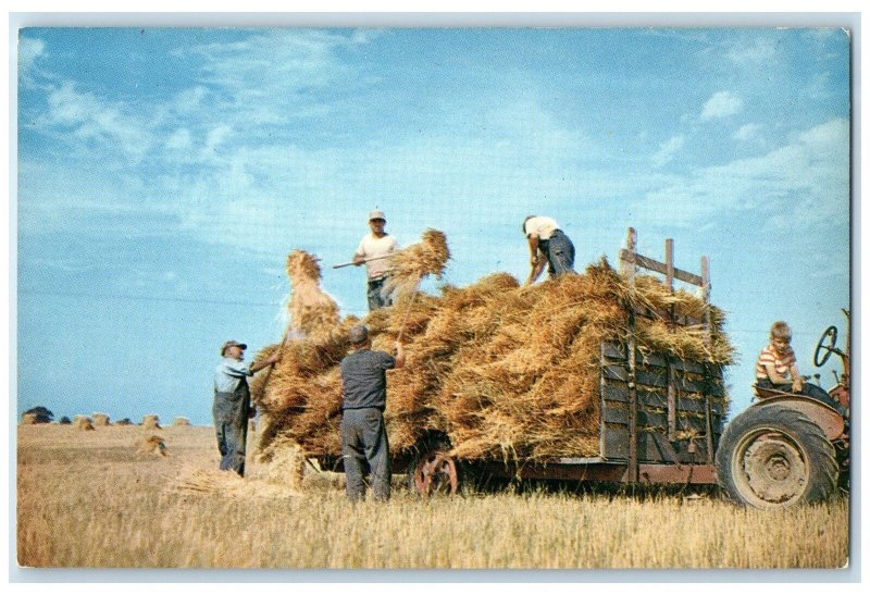 c1960s Greetings From West Memphis Harvesting Scene Arkansas AR People Postcard