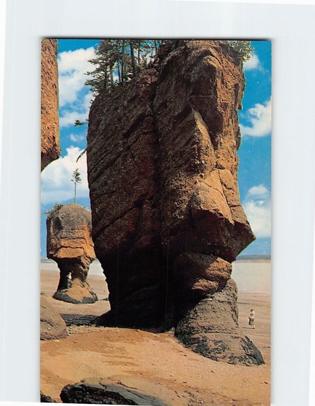 Postcard The Rocks Hopewell Canada