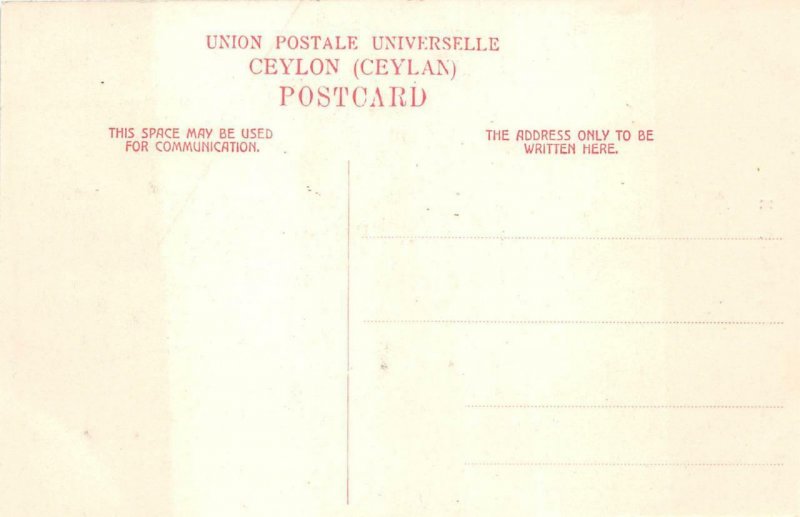 KANDYAN LADY CEYLON ASIA POSTCARD (c. 1910)