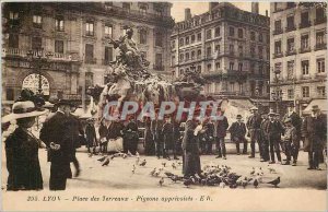 Old Postcard Lyon Place Bellecour tame Pigeons