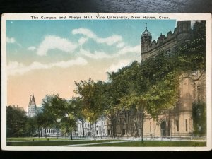 Vintage Postcard 1915-30 Campus & Phelps Hall, Yale, New Haven Connecticut (CT)