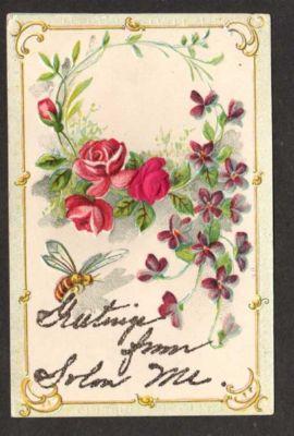 ME Greetings From SOLON MAINE Postcard Old Flowers PC