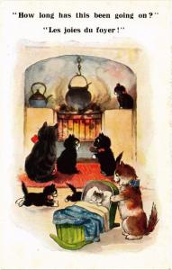 CPA AK CATS How long has this been going on? (a2079)