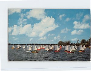 M-114293 Pram Class Sailboats Sarasota Bay Sailing Regatta Florida USA