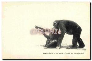 Ansichtskarten Ã¤ffen Conakry Guinea der Schimpanse mit fÃ¼nf Uhr nach
