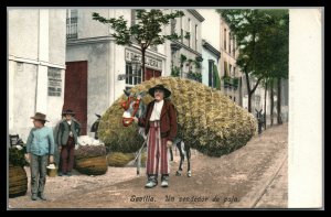 Spain Sevilla Vintage Unused Postcard Un Vendedor de Paja Peddler w/donkey