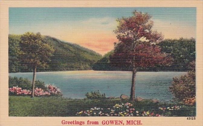 Michigan Greetings From Gowen