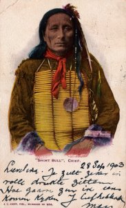 USA Short Bull Chief Native American Postcard 09.87