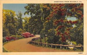 Waverly Virginia Scenic Roadway Greeting Antique Postcard K107146