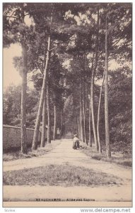 BEAUCHAMPS, Allee des Sapins, Manche, France, 00-10s