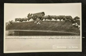 Mint Vintage Montevideo Uruguay La Carreta Statue of Ox and Cart RPPC