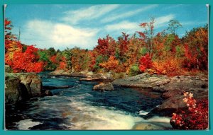 Twas Autumn & The Leaves Were Gold, Red & Russet Brown - [MX-880]