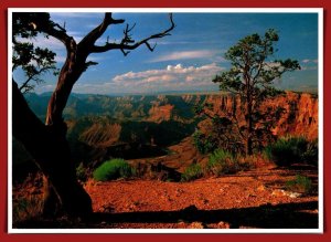 Arizona,  Grand Canyon - Winding Colorado River - South Rim - [AZ-433X]