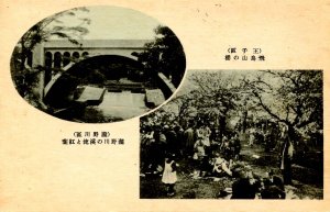 Japan - Tokyo. Ueno Park Scene (right); Bridge in Akihabara District (left)