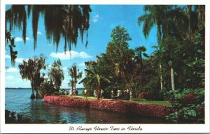 USA It's Always Flower Time in Florida Chrome Postcard 03.47