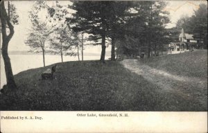 GREENFIELD NH Otter Lake c1910 Postcard