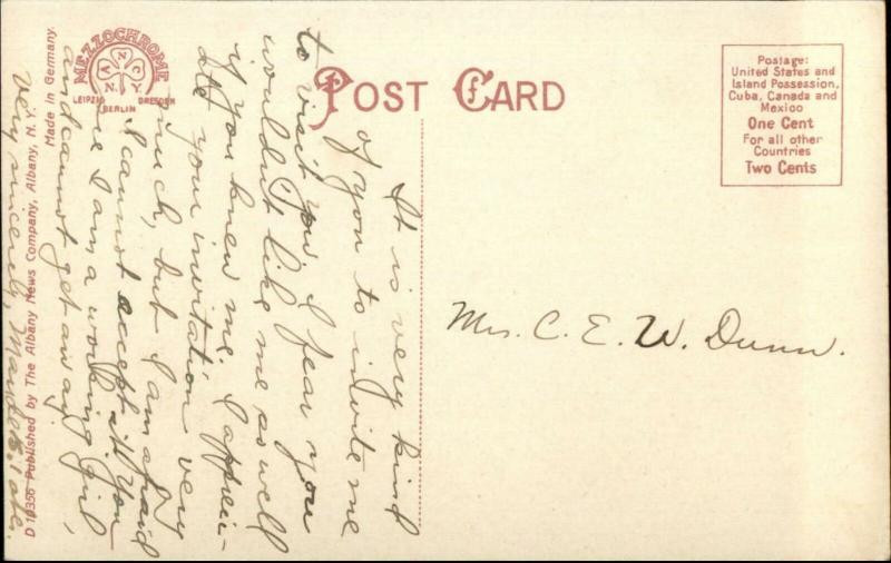 Schnectady NY From Lagoon Bridge Luna Park c1910 Postcard