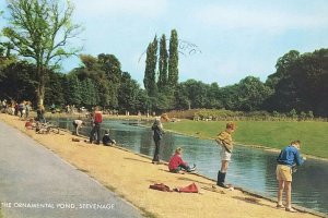 Young Boys Fishing Competition The ornamental Pond Stevenage Vintage Postcard