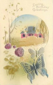 Artist impression Birthday Butterfly Floral Farm C-1910 Embossed Postcard 7270