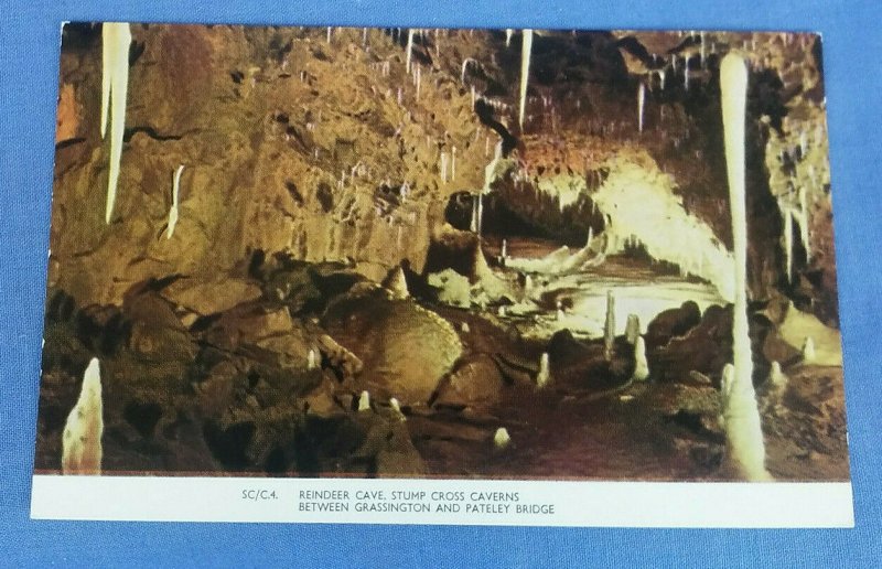 Vintage Postcard Reindeer Cave  Stump Cross Caverns Yorkshire D1B