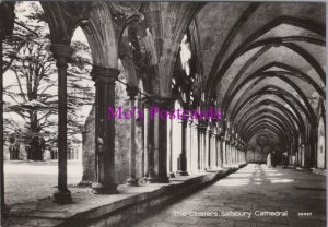 Wiltshire Postcard - Salisbury Cathedral. The Cloisters - Real Photo RR20956