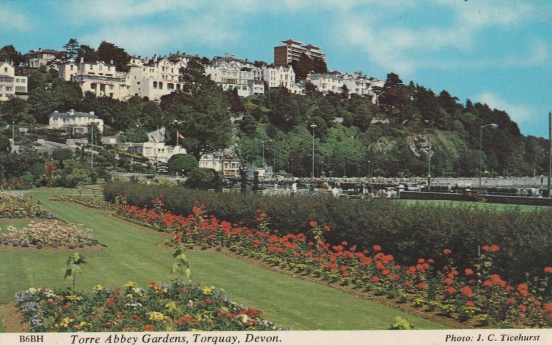 TORQUAY, TORRE ABBEY GARDENS, Devon - Vintage POSTCARD