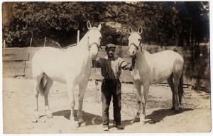 1904-18 RPPC Gettysburg PA Goerge Yohe & 2 White Horses RARE Real Photo Postcard