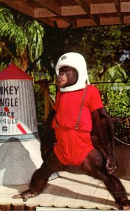 Florida Miami Monkey Jungle Spaceman