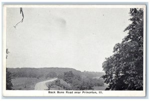 c1910's View Of Back Bone Road Near Princeton Illinois IL Antique Postcard 