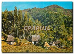 Postcard Modern Santana Madeira Casas tipicas