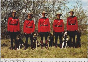 RCMP & Dogs K9 Mounties Royal Canadian Mounted Police Vintage Postcard E14