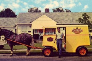 GOSHEN DAIRY HORSEDRAWN MILK WAGON Horse named Dewey - Soral Belgian