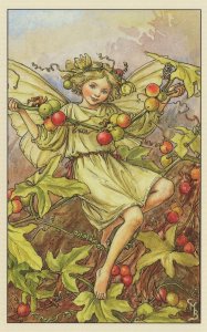 The White Bryony Flower Fairy Old Book Illustration Postcard