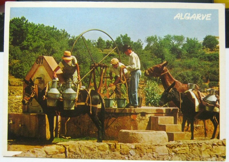 Portugal Algarve water well donkeys - posted