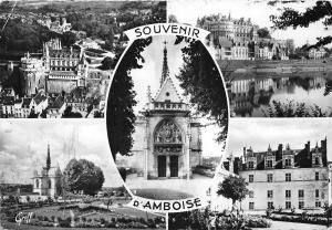 BR19506 Amboise   France