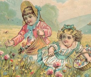 1881 Samuel A. Byers Spring Adorable Girls Flower Field White Rabbit #L