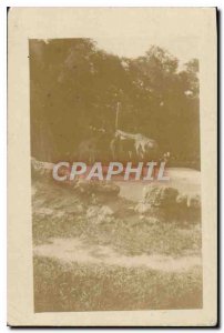 Photo Paris Colonial Exposition in 1931 Giraffe Vincennes